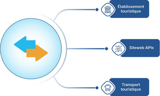 How TransFret Works